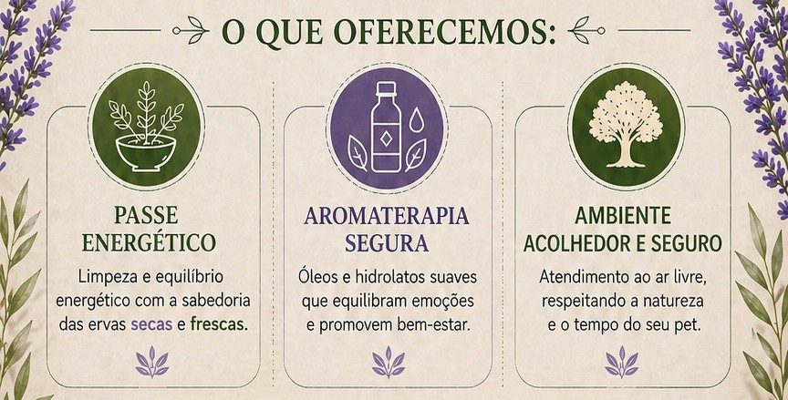 O que oferecemos: passe energético, aromaterapia segura e ambiente acolhedor e seguro